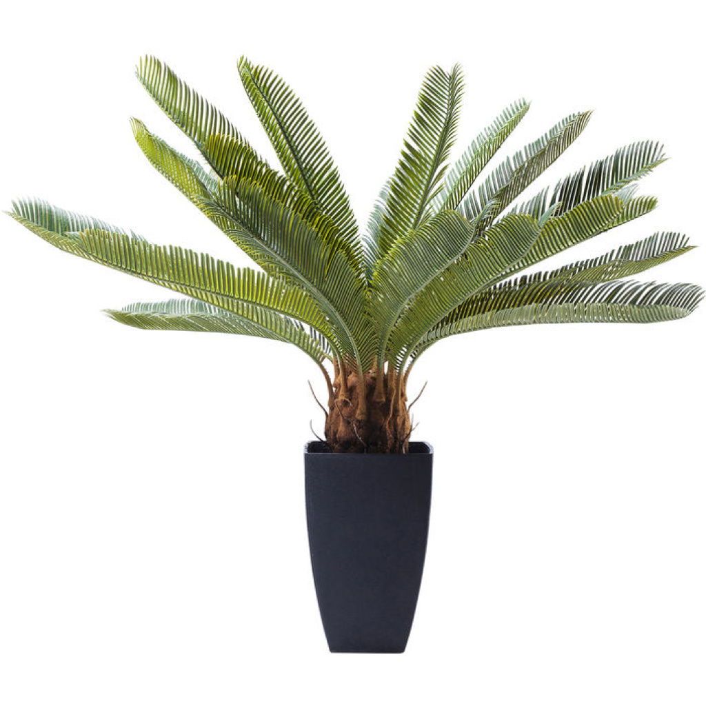 ΔΙΑΚΟΣΜΗΤΙΚΟ ΦΥΤΟ CYCAS TREE 78CM
