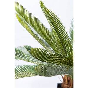 KARE-61200-detail-b-700x700-1-2