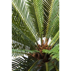 KARE-61200-detail-c-700x700-1-2