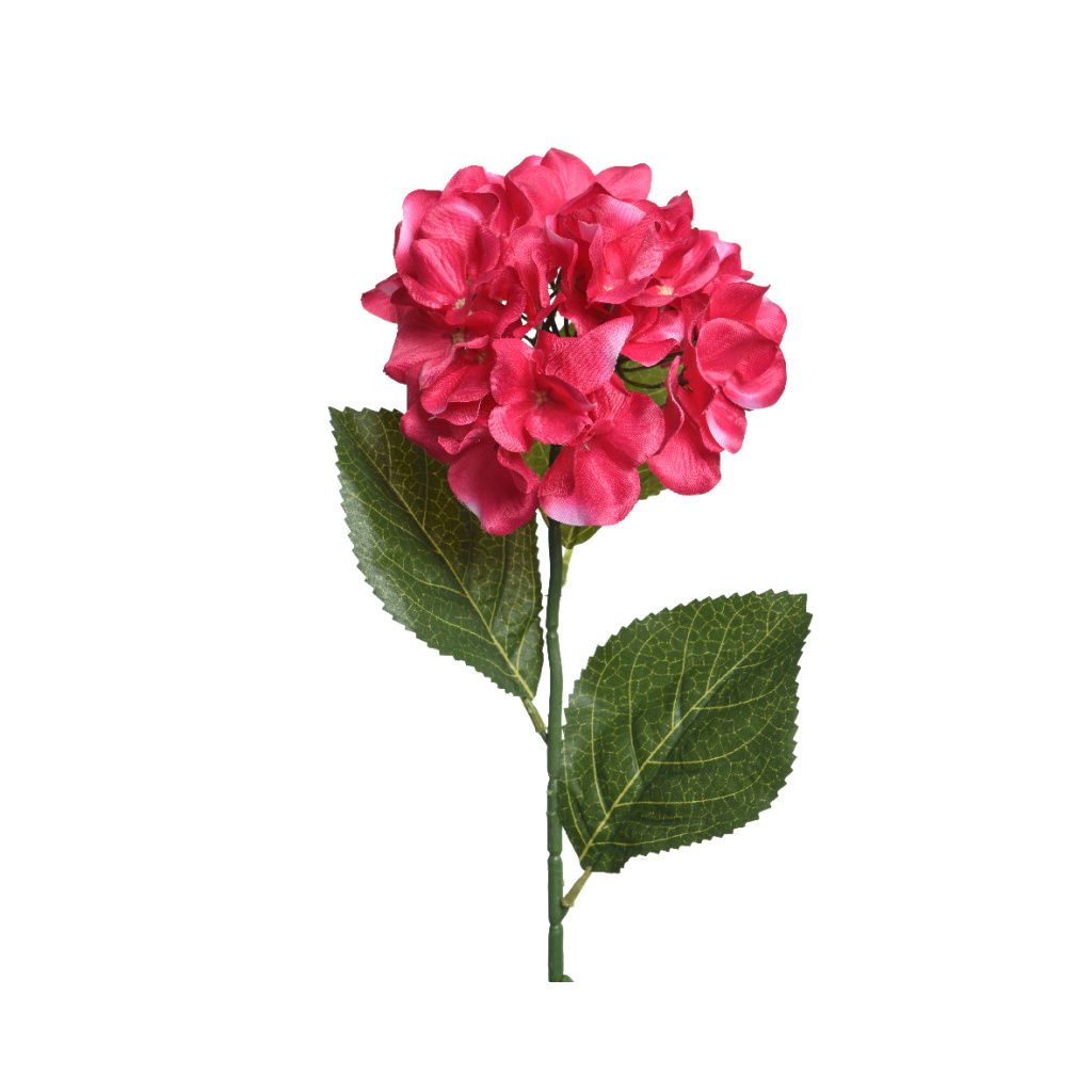 Ορτανσία Κλαδί Φούξια 66cm