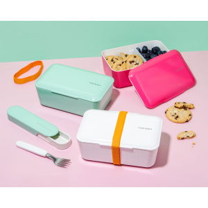 TAKENAKA Bento Box