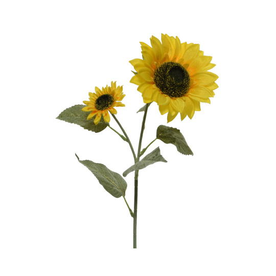 Ηλίανθος (Sunflower) Λουλούδι Κίτρινο 10x15x72