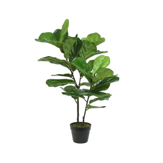 Fig Tree Φυτό σε Γλάστρα Πράσινο 54x54x97cm