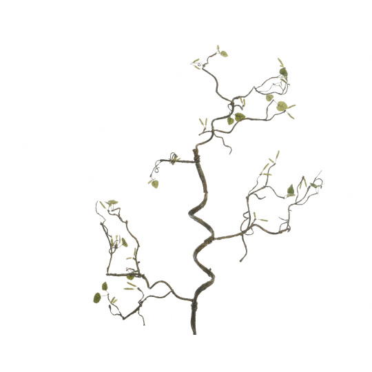 Κλαδί Λουλούδι Hazel Πράσινο 8x73x90cm