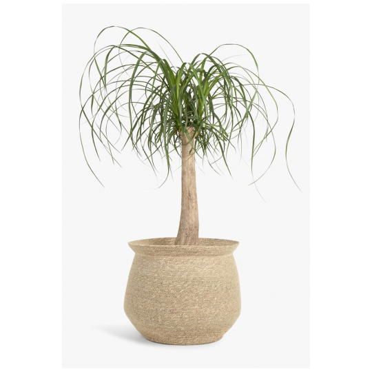 Calma House - Καλάθι Kombu Natural 36x26x31cm