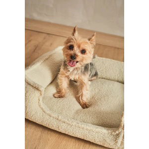 Cama-para-mascotas-desenfundable-cruda-Henry-20