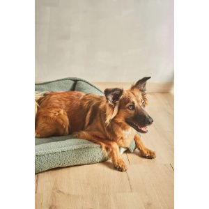 Cama-para-mascotas-desenfundable-verde-Henry-11