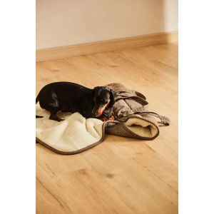 Manta-portable-para-mascotas-Scott-10