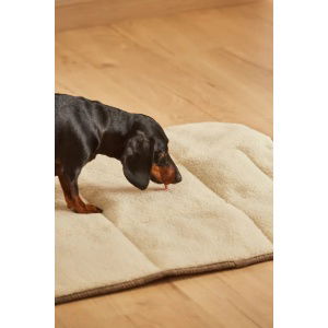 Manta-portable-para-mascotas-Scott-7
