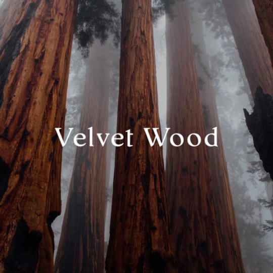 Αρωματικό Χώρου 100ml Boutique Velvet Wood