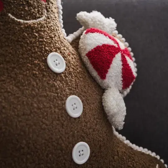 Μαξιλαράκι με Γέμισμα Ginger 40x45cm Xmas