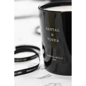 molla-candela-santal-20231130115123392