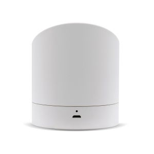 16202-jowie-light-back-scaled