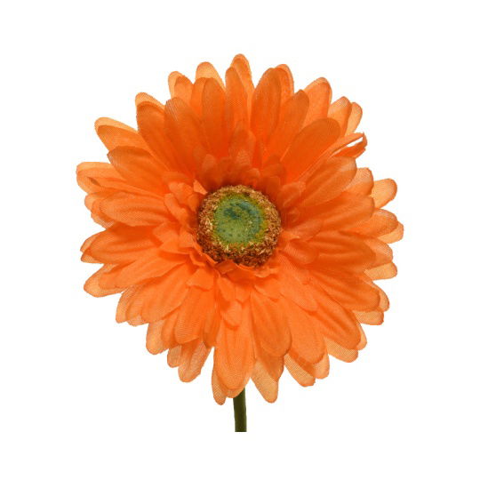 Λουλούδι Ζέρμπερα (Gerbera) Πορτοκαλί 10x50cm