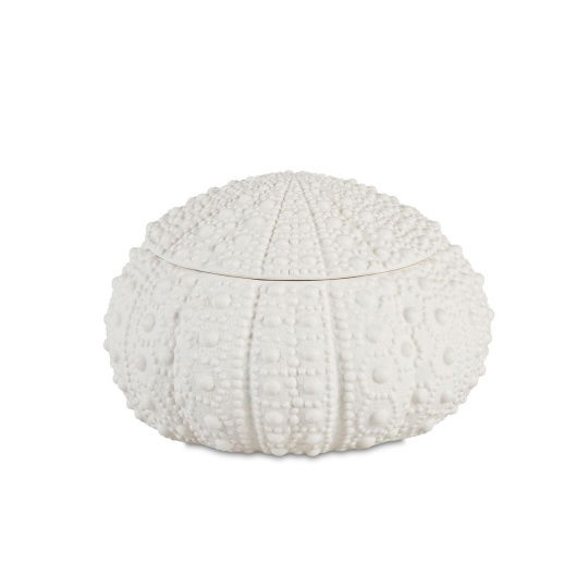 Andrea House - Κουτί Κοσμημάτων Sea Urchin D23cm