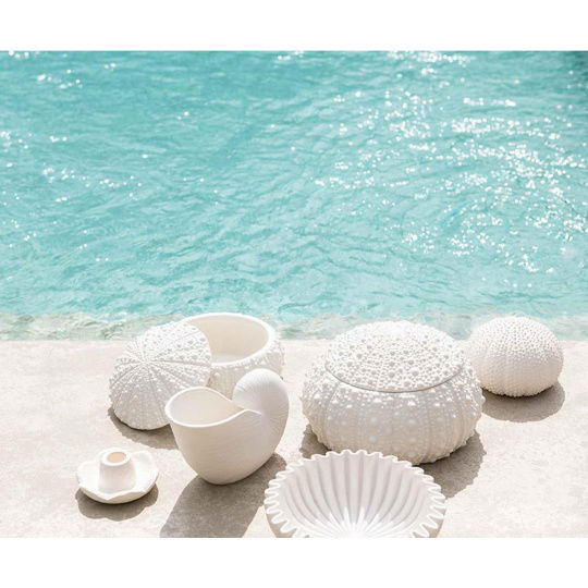 Andrea House - Βάζο Nautilus
