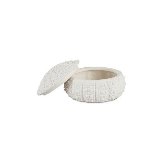 Andrea House - Κουτί Κοσμημάτων Sea Urchin D19cm