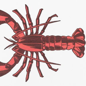 lobster-white-stone-non-slip-bath-mat-1