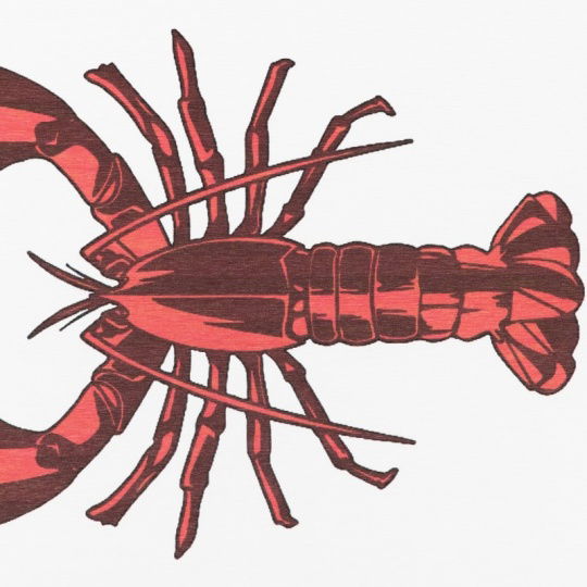 Artsy Mats - Αντιολισθητικό Πατάκι Μπάνιου Lobster White Stone 39x60cm