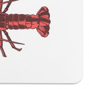 lobster-white-stone-non-slip-bath-mat-2