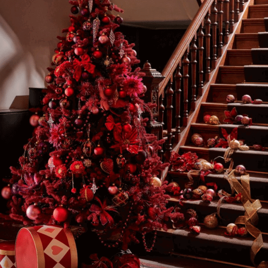 papaxatzis-chrstms-one