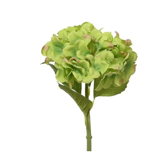Πασχαλινό Λουλούδι Κλαδί Υδραγγεία Πράσινο 14x35cm